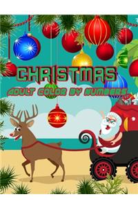 Christmas Adult Color By Numbers