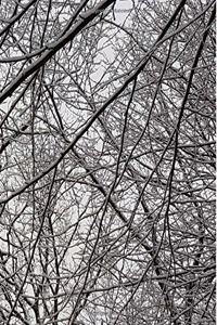 Winter Season School Composition Book Snowstorm Effect 130 Pages