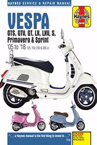 Vespa GTS, GTV, GT, LX, LXV, S, Primavera & Sprint (05 - 18)