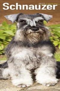 Schnauzer Slim Calendar 2019