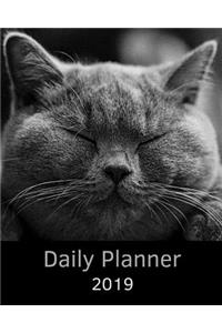 Planner 2019: British Shorthair