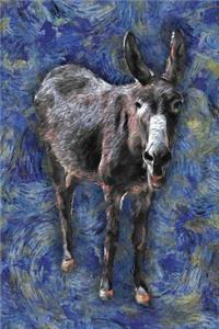 Donkey