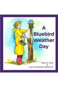 A Bluebird Weather Day