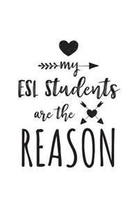 My ESL Students Are The Reason