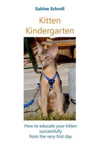 Kitten Kindergarten