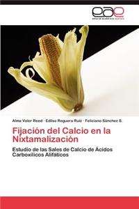 Fijación del Calcio en la Nixtamalización