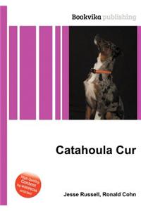 Catahoula Cur