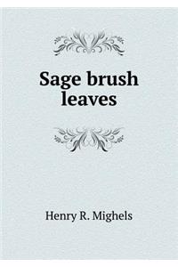 Sage brush leaves