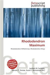 Rhododendron Maximum