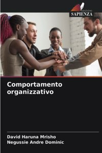 Comportamento organizzativo