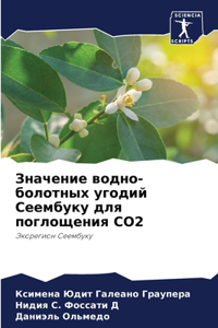 Значение водно-болотных угодий Сеембуку