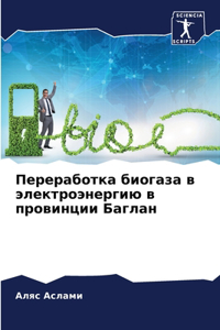 Переработка биогаза в электроэнергию в пр