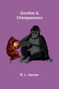 Gorillas & Chimpanzees