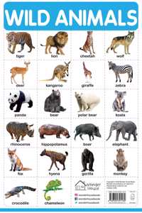 Wild Animals - My First Early Learning Wall Chart: For Preschool, Kindergarten, Nursery And Homeschooling (19 Inches X 29 Inches)