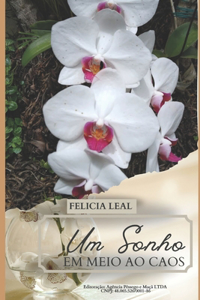 Um Sonho em meio ao Caos