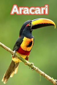 Aracari