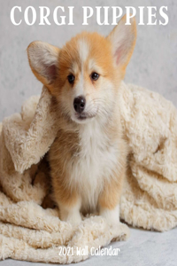 Corgi Puppy 2021 Wall Calendar
