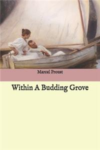 Within A Budding Grove