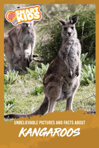 Unbelievable Pictures and Facts About Kangaroos
