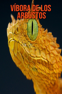 Víbora de los arbustos