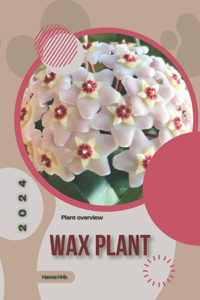 Wax Plant