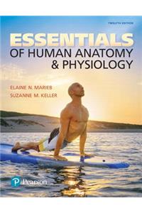 Essentials of Human Anatomy & Physiology Plus Mastering A&p with Pearson Etext -- Access Card Package