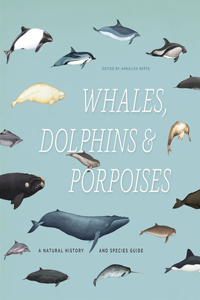 Whales, Dolphins & Porpoises