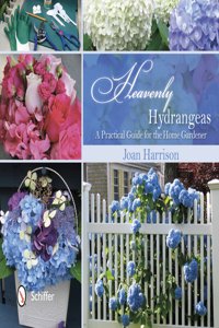 Heavenly Hydrangeas