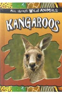 Kangaroos