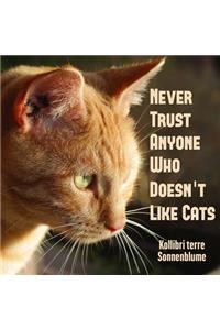 Never Trust Anyone Who Doesn't Like Cats