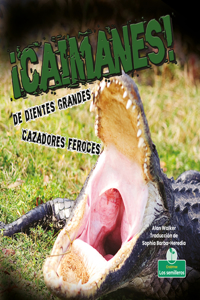 ¡Caimanes! de Dientes Grandes. Cazadores Feroces (Alligators! Big Teeth, Fierce Hunters)