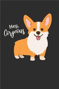 Hey Corgeous