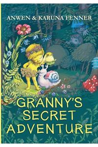 Granny's Secret Adventure