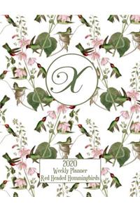 2020 Weekly Planner - Red Headed Hummingbirds - Personalized Letter X - 14 Month Large Print: Hummingbirds With Pink Trumpet Vines - White Background - Customized Interior