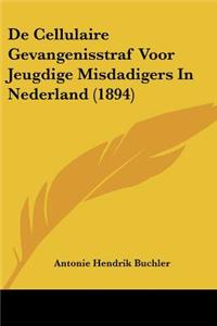 De Cellulaire Gevangenisstraf Voor Jeugdige Misdadigers In Nederland (1894)