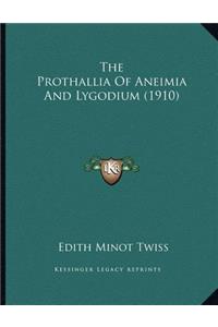The Prothallia Of Aneimia And Lygodium (1910)