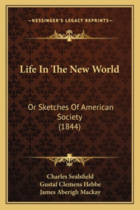 Life In The New World