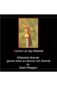 Ekorrar Lär dig alfabetet