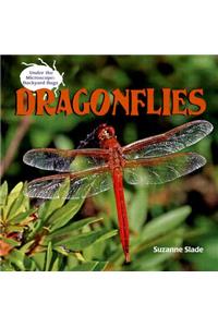 Dragonflies