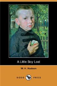Little Boy Lost (Dodo Press)
