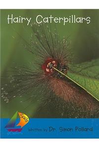 Rus Caterpillars- Sails Early 3 N