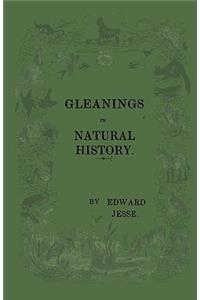 Gleanings of Natural History