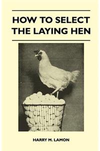 How To Select The Laying Hen