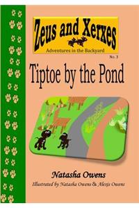 Tiptoe by the Pond