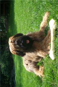 The Briard Dog Journal