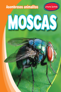 Moscas (Flies)