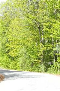 Journal Springtime Country Road Sunlight Shadows