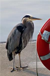 Cool Blue Heron Bird Standing Near a Red Lifesaving Ring Journal