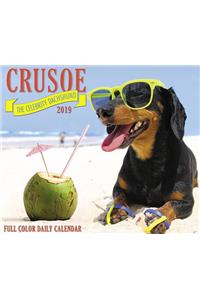 Crusoe the Celebrity Dachshund 2019 Box Calendar (Dog Breed Calendar)