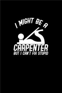 I might be a carpenter but I can't fix stupid